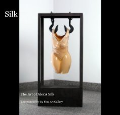 Silk book cover