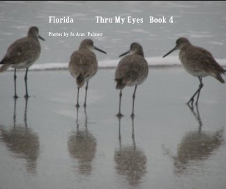 Florida           Thru My Eyes   Book 4 book cover