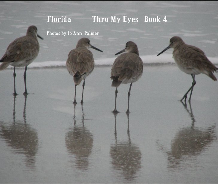 Visualizza Florida           Thru My Eyes   Book 4 di stilljojo