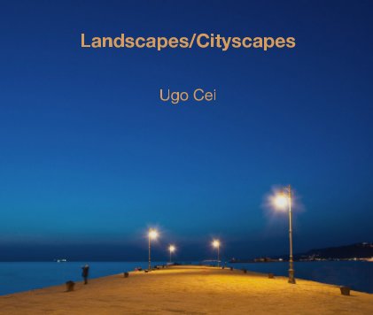 Landscapes/Cityscapes book cover