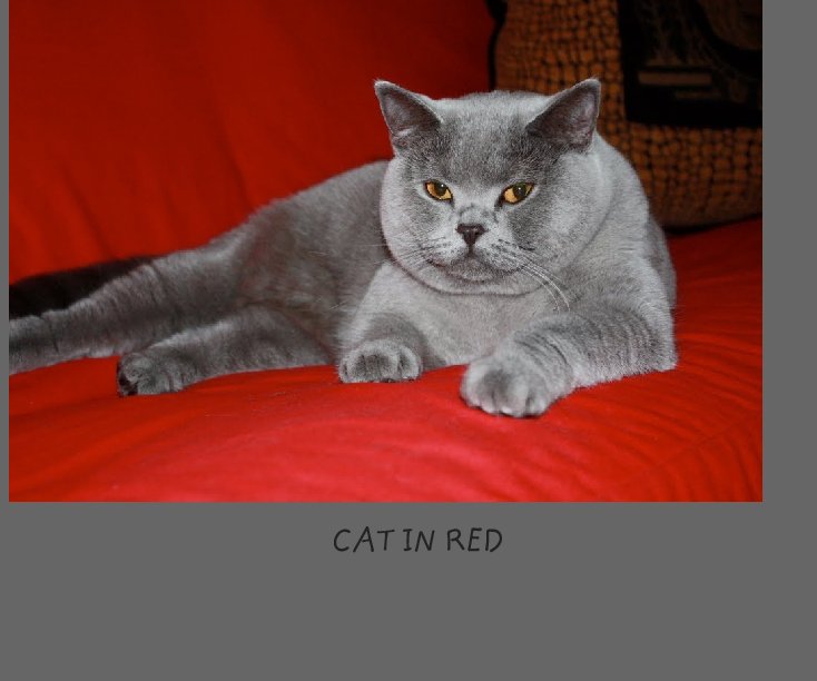 View CAT IN RED by NATKRYSTAL