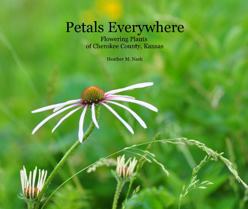 View Petals Everywhere by Heather M. Nash