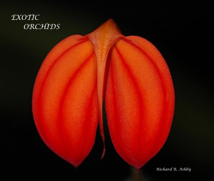 EXOTIC ORCHIDS Richard R. Ashby book cover