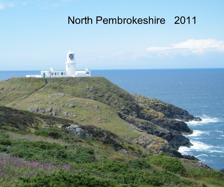 View North Pembrokeshire 2011 by R.A. Goble