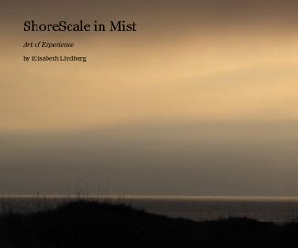 ShoreScale in Mist book cover