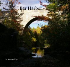 Bar Harbor book cover