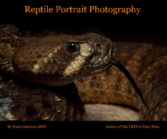 Reptile Portrait Photography book cover