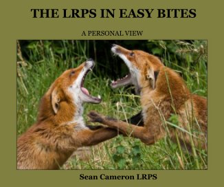 THE LRPS IN EASY BITES book cover