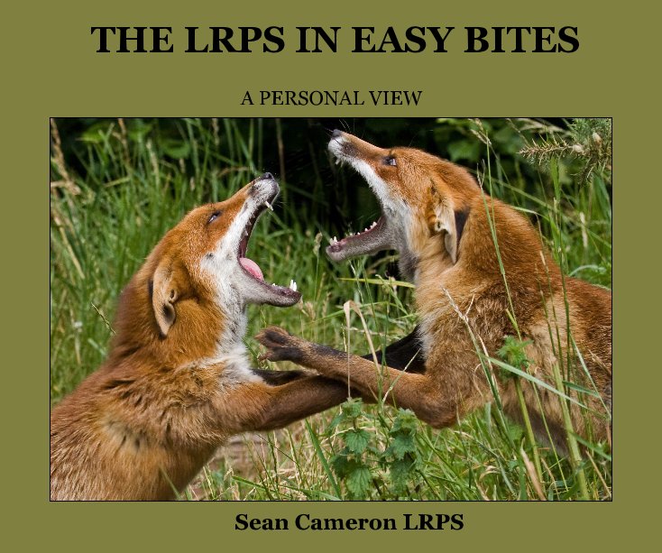 View THE LRPS IN EASY BITES by Sean Cameron LRPS
