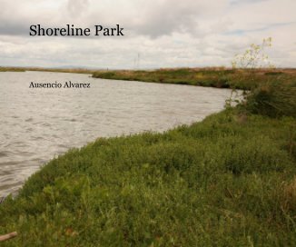 Shoreline Park book cover