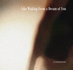 Like Waking From a Dream of You book cover