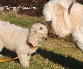 Tuppy & Shadow book cover