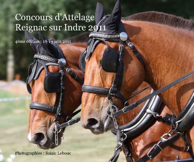 Bekijk Concours d'Attelage Reignac sur Indre 2011 op Photographies : Soizic Lebouc