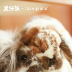 Love jaimui book cover