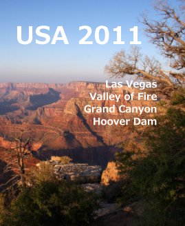 USA 2011 Las Vegas Valley of Fire Grand Canyon Hoover Dam book cover