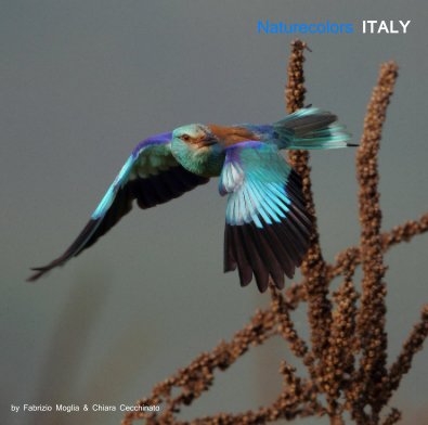 Naturecolors ITALY book cover