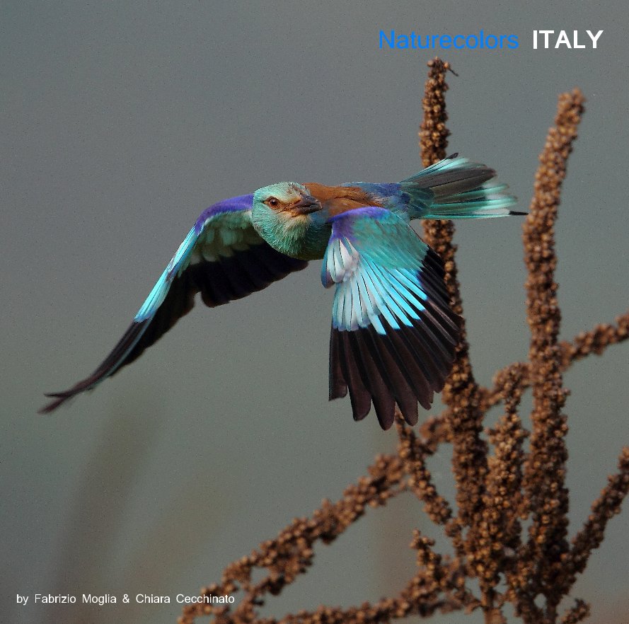 View Naturecolors ITALY by Fabrizio Moglia & Chiara Cecchinato