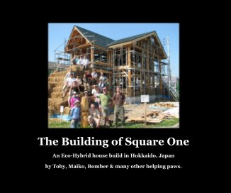 The Building of Square One book cover