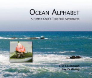 Ocean Alphabet book cover