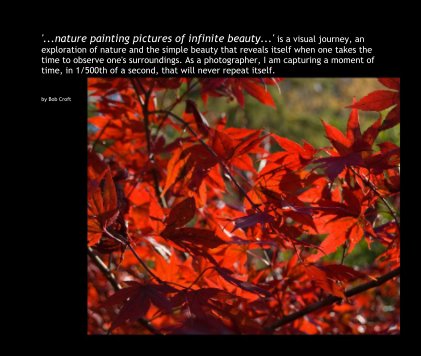 '...nature painting pictures of infinite beauty...' is a visual journey, an exploration of nature and the simple beauty that reveals itself when one takes the time to observe one's surroundings. As a photographer, I am capturing a moment of time, in 1/500 book cover