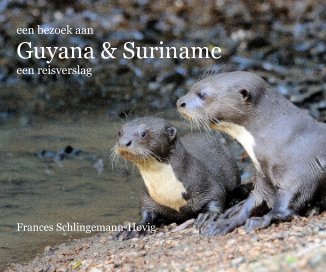 een bezoek aan Guyana and Suriname book cover