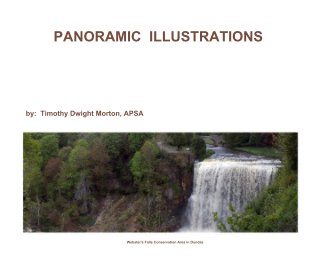 PANORAMIC ILLUSTRATIONS book cover