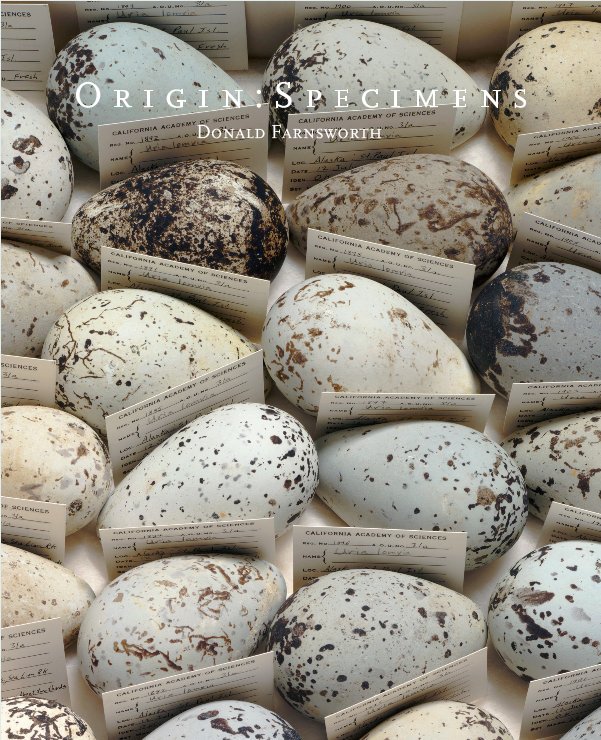 Origin: Specimens by Magnolia Editions | Blurb Books