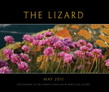 The Lizard book cover