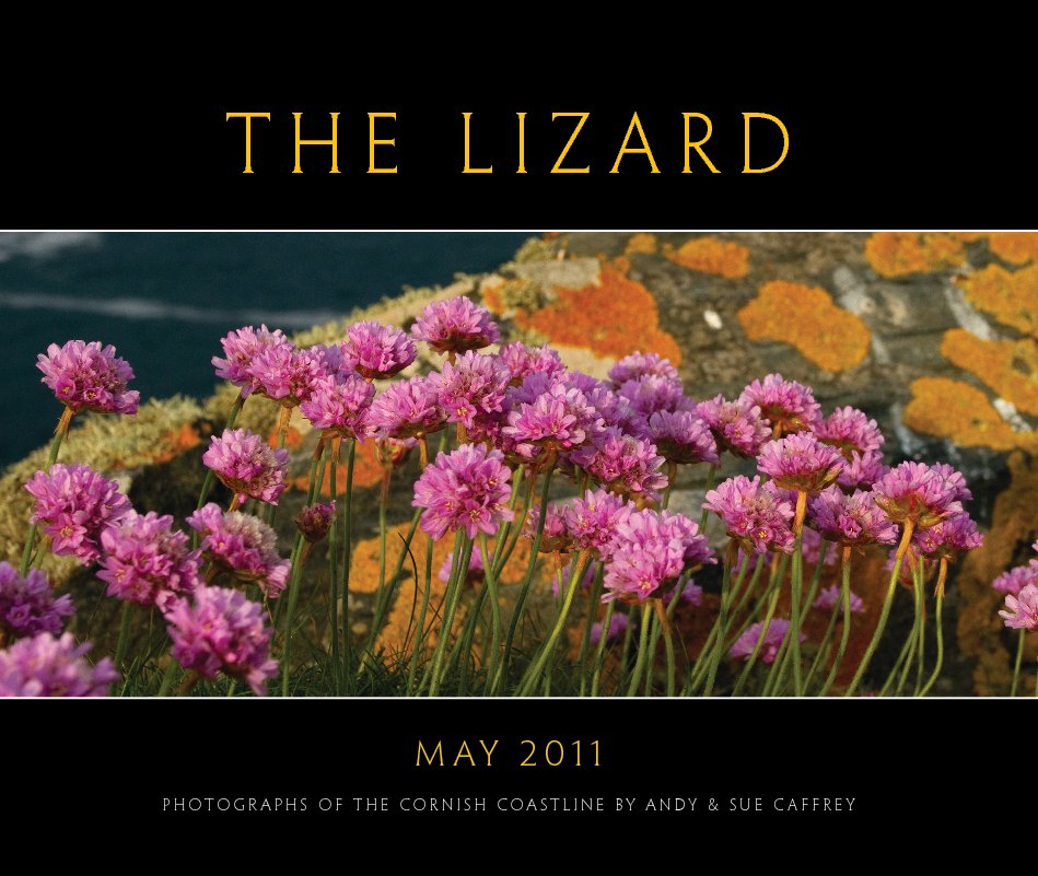 View The Lizard by Andrew Caffrey
