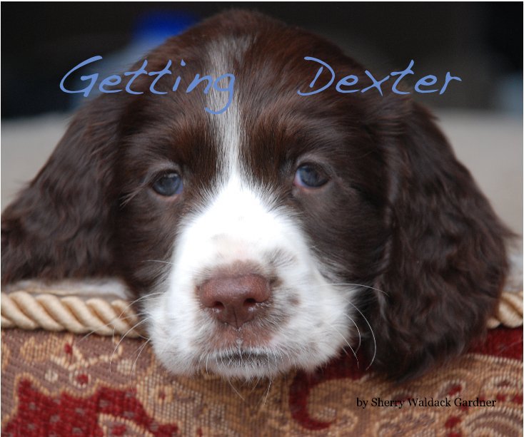 Ver Getting Dexter por Sherry Waldack Gardner