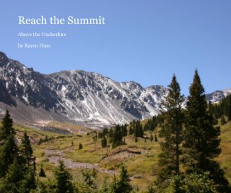 Reach the Summit book cover