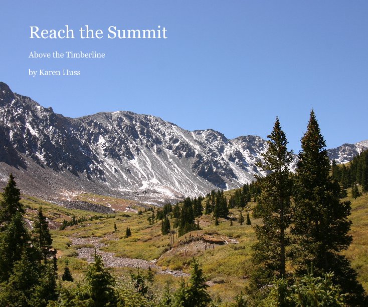 View Reach the Summit by Karen Huss