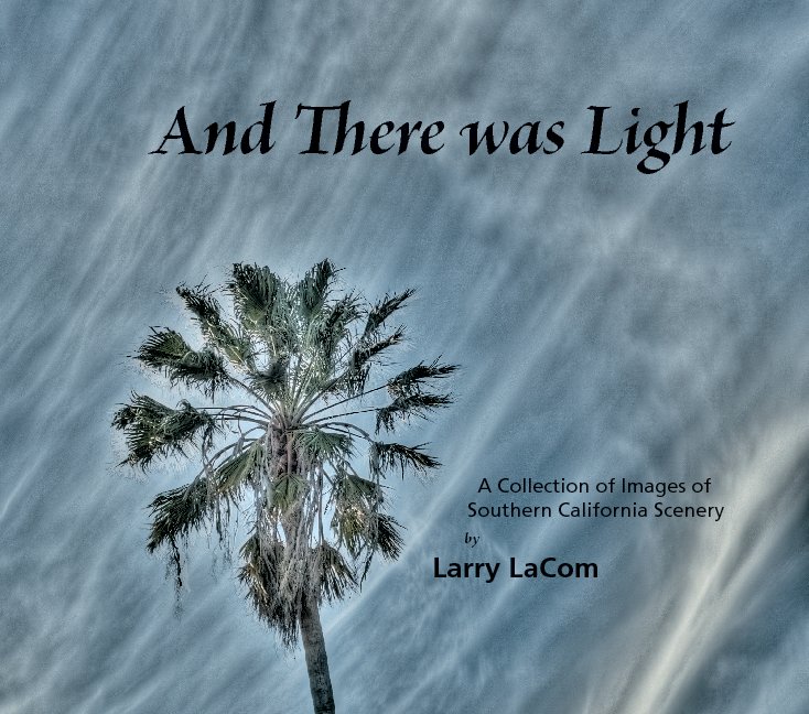 View And There was Light by Larry LaCom
