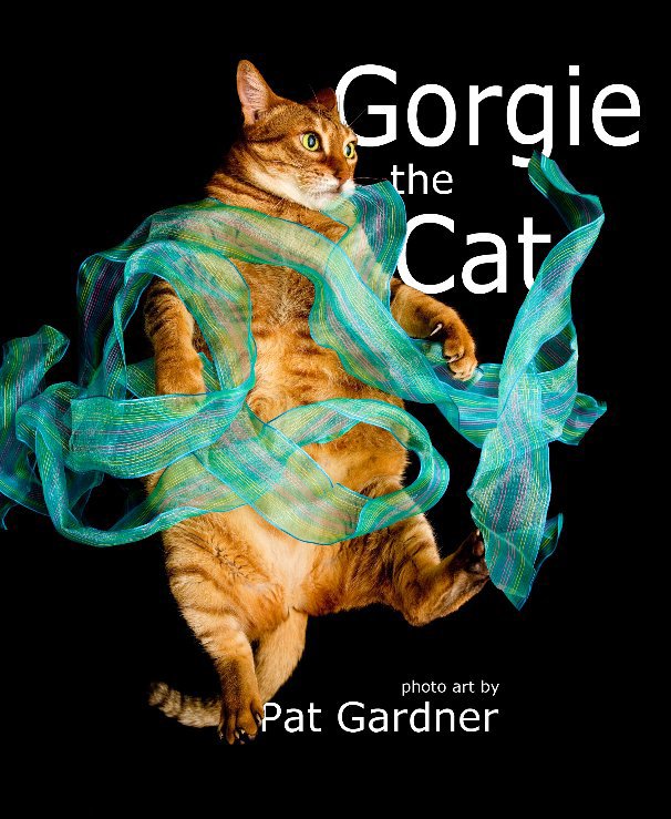 View Gorgie the Cat by Pat Gardner