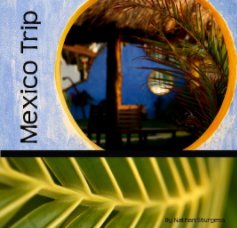 Mexico Trip book cover