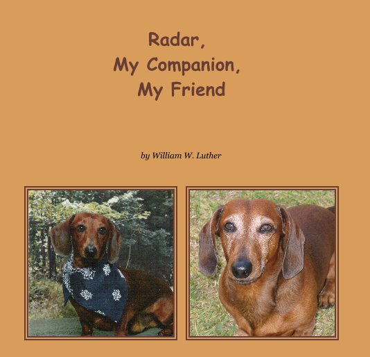 View Radar, My Companion, My Friend by William W. Luther