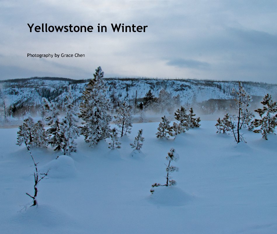 Visualizza Yellowstone in Winter di Photography by Grace Chen