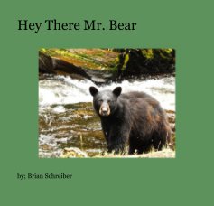 Hey There Mr. Bear book cover