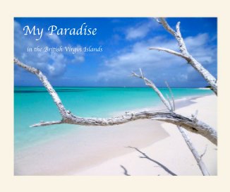 My Paradise book cover