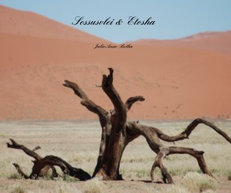 Sossusvlei & Etosha book cover