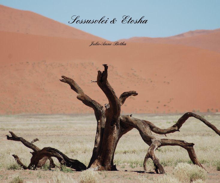 Ver Sossusvlei & Etosha por Julie-Anne Botha
