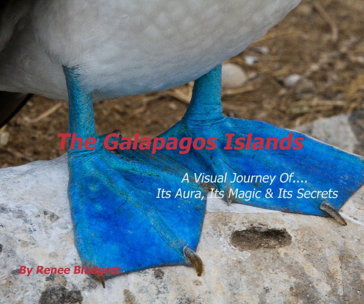 View The Galapagos Islands by Renee Blodgett