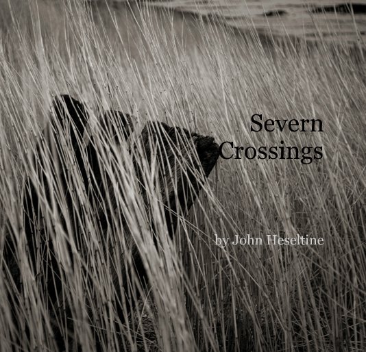 View Severn Crossings by John Heseltine