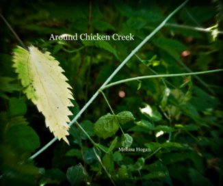 Around Chicken Creek book cover