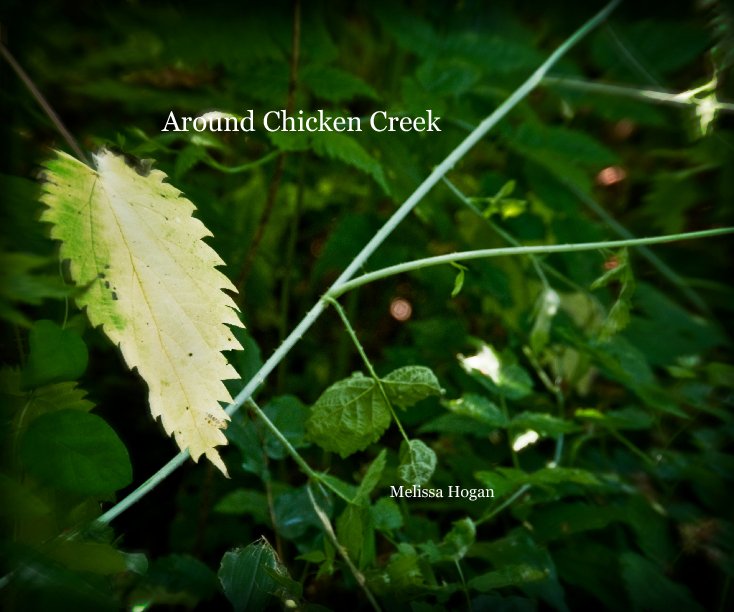 View Around Chicken Creek by Melissa Hogan