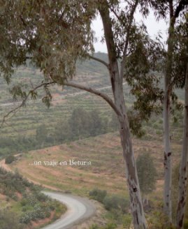 un viaje en Beturia book cover