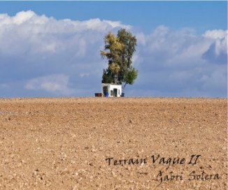 Terrain Vague II book cover