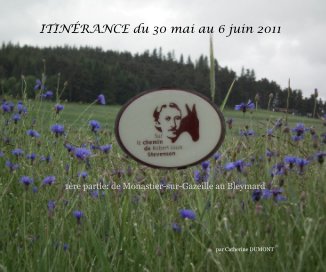 ITINÉRANCE du 30 mai au 6 juin 2011 book cover