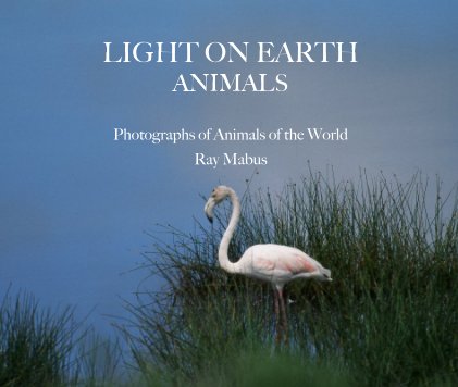 LIGHT ON EARTH ANIMALS Photographs of Animals of the World Ray Mabus book cover