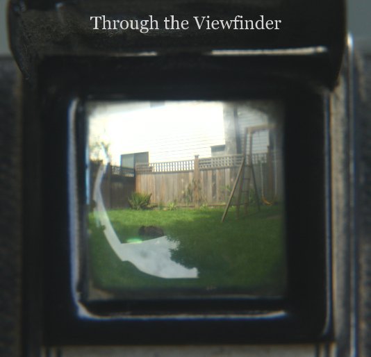 View Through the Viewfinder by Robin Woronko